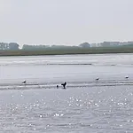 Beim Bracksee