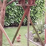 Beim Bracksee Apartamento