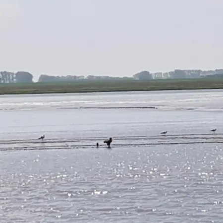 Beim Bracksee