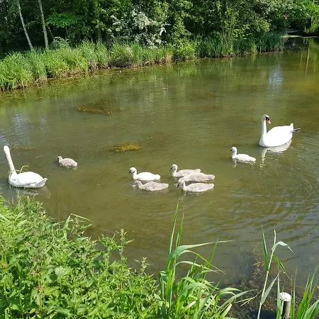 Beim Bracksee * Wischhafen