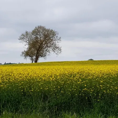 Beim Bracksee * Wischhafen