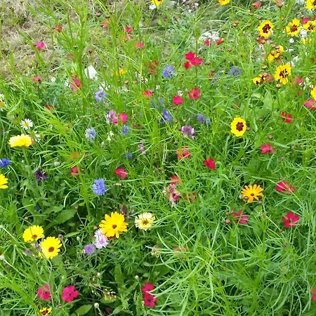 Apartman Beim Bracksee Wischhafen