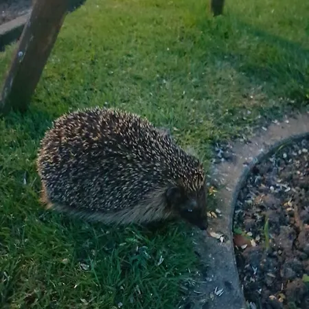 Apartman Beim Bracksee