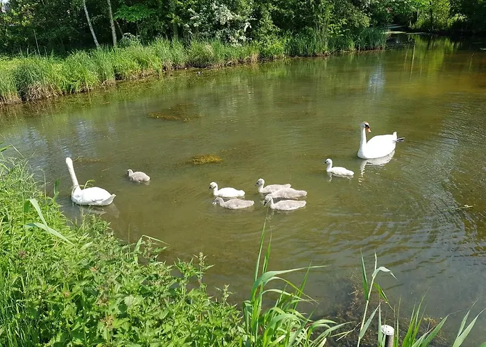 Beim Bracksee * Wischhafen