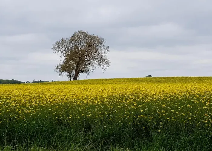 Beim Bracksee * Wischhafen