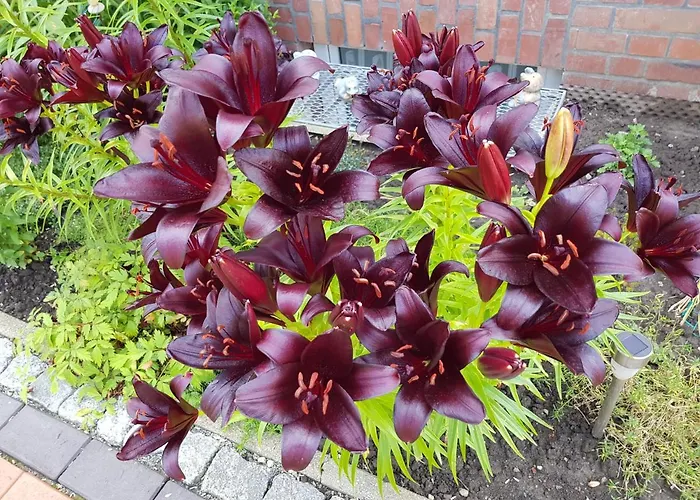 Beim Bracksee Апартаменты