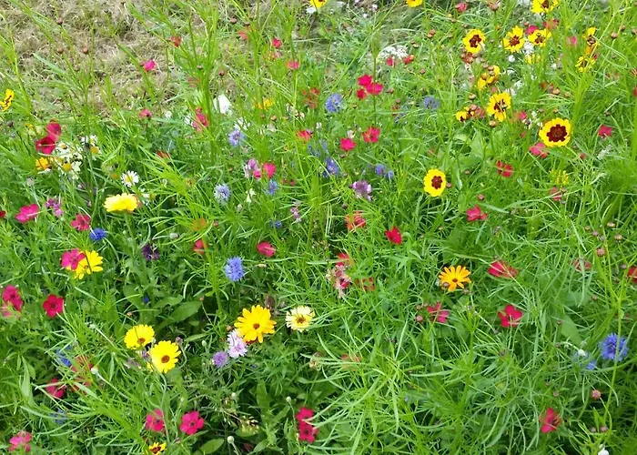 Appartement Beim Bracksee Wischhafen