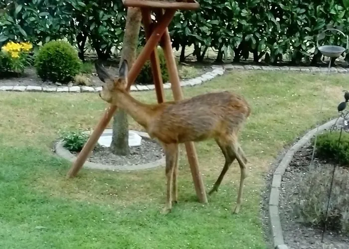 Beim Bracksee Wischhafen