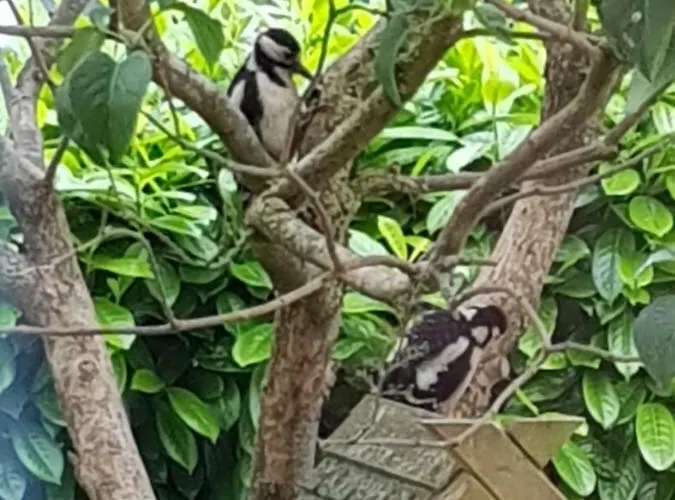 Beim Bracksee Appartement Wischhafen