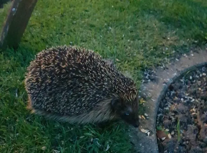 Appartement Beim Bracksee